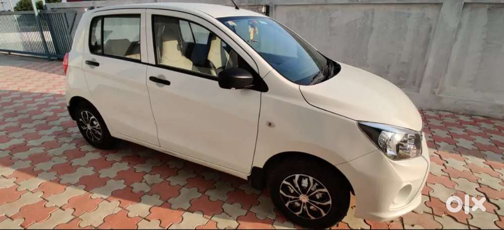 Maruti Suzuki Celerio 2019 Cng & Hybrids