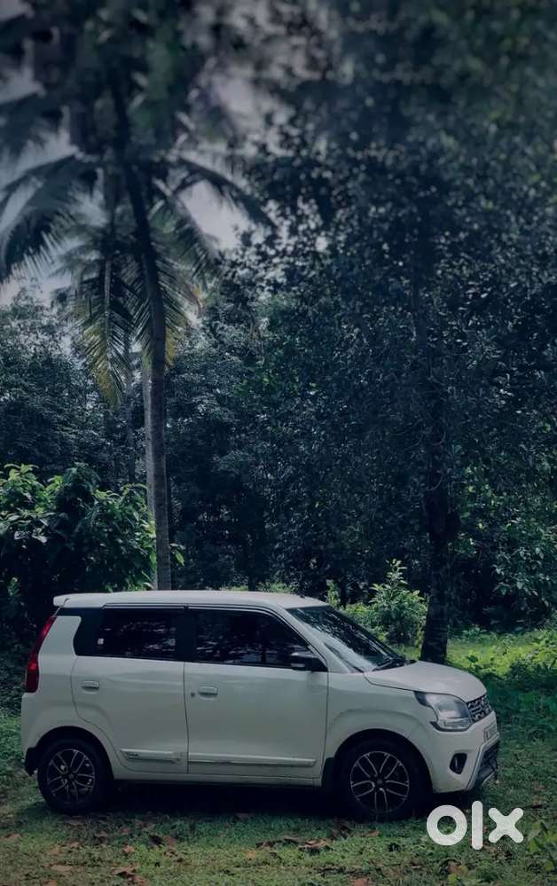 Maruti Suzuki Wagon R 2025 Cng & Hybrids 30000 Km Driven