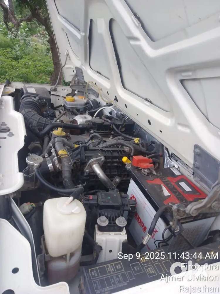 Bolero Pickup