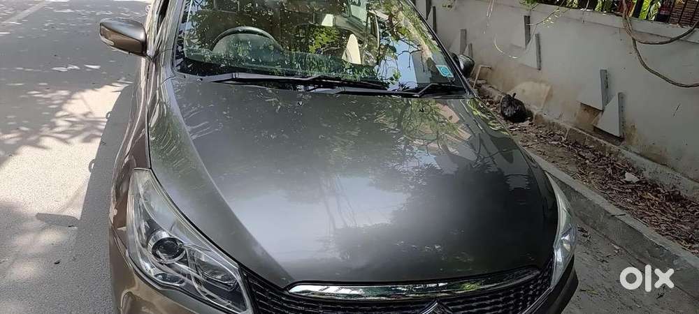 Maruti Suzuki Ciaz