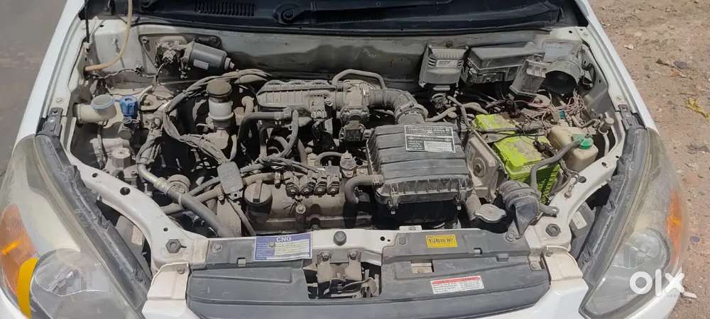 Alto 800 Cng+petrol