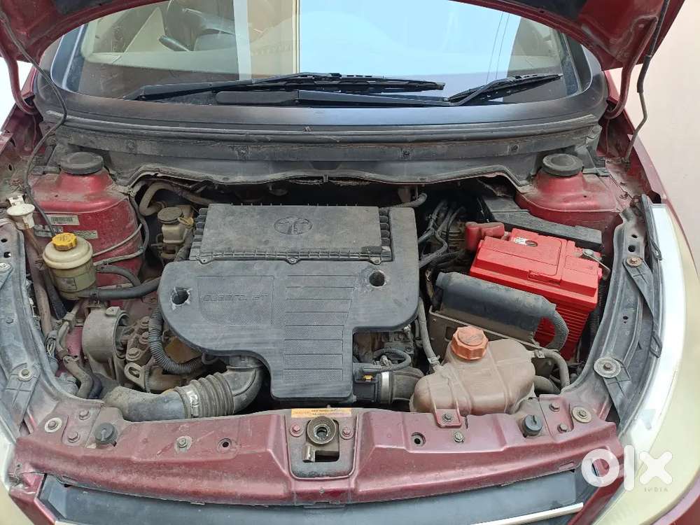 Mint Condition