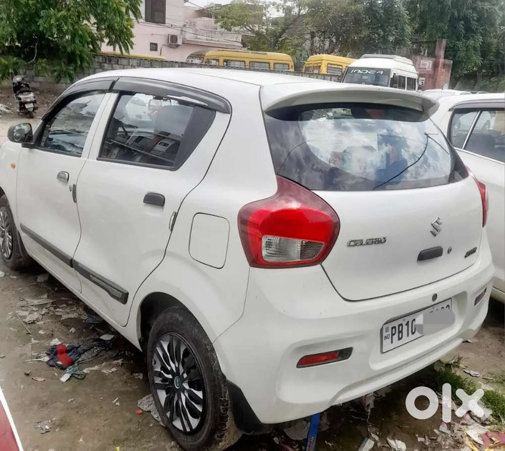 Celerio August 2024