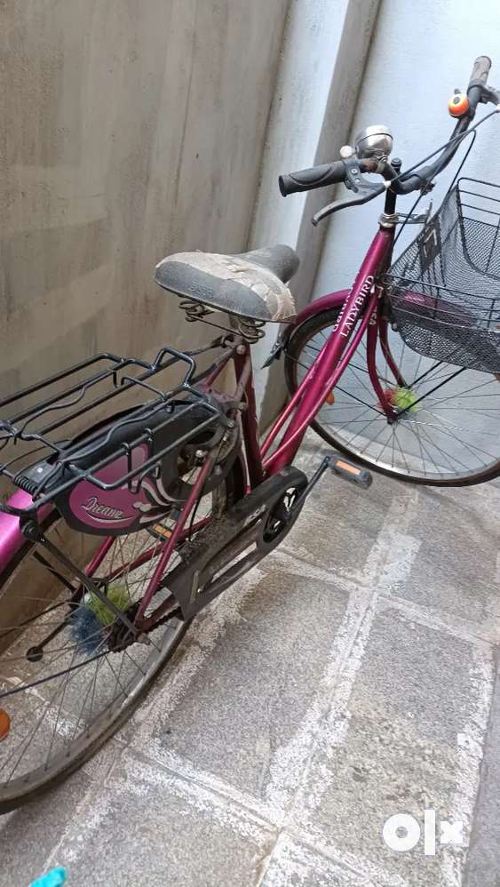 Lady bird cycle in olx on sale