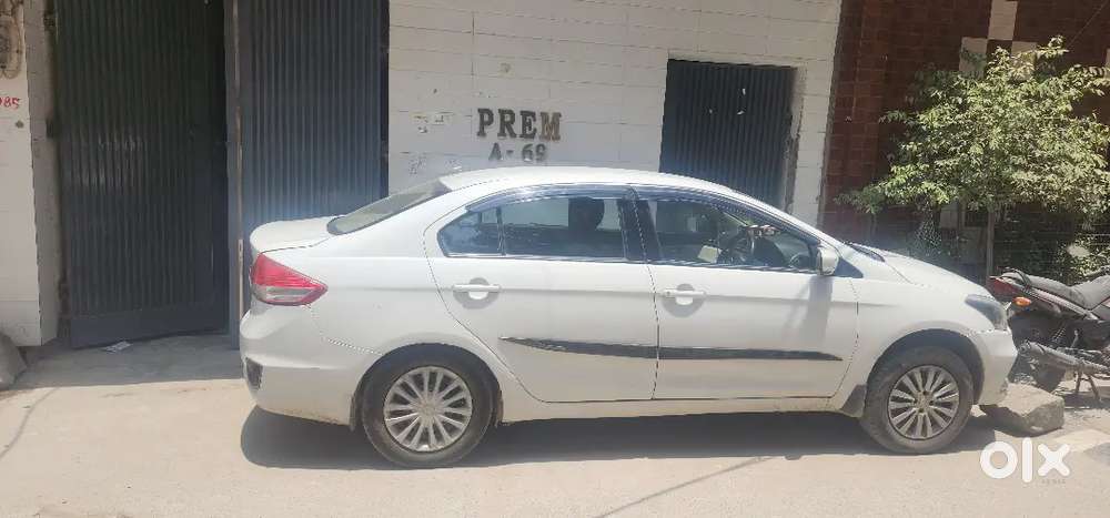 Caiz Cng
2016