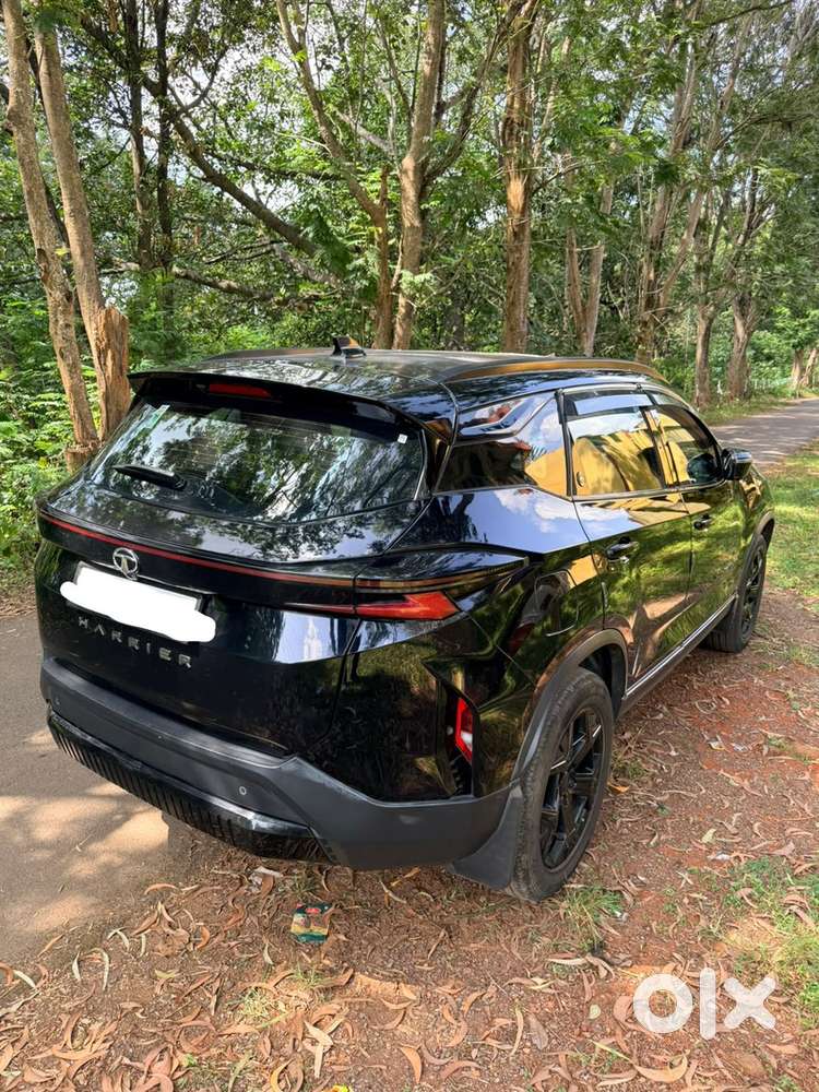 2024 Tata Harrier Diesel Automatic Year