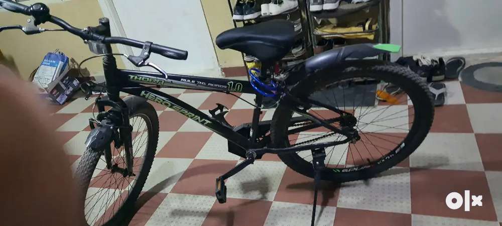 Olx in cycle 2025