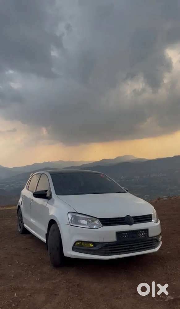 Polo For Sell