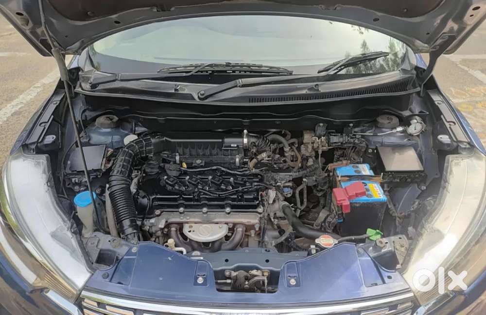 Maruti Suzuki Ertiga Vxi Cng, 2021, Cng & Hybrids