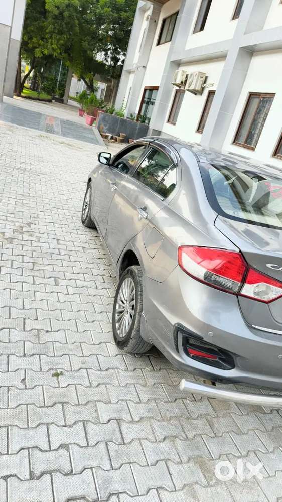 Maruti Suzuki Ciaz Diesel 2017
