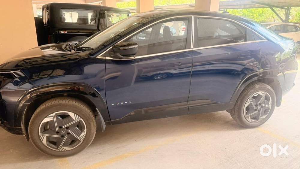 Tata Curvv 2025 Petrol 8082 Km Driven