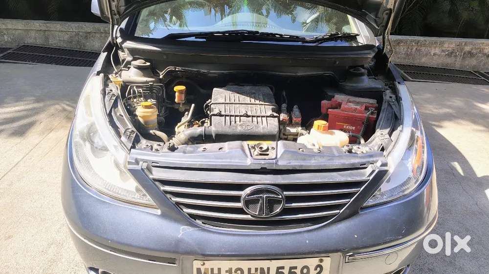 Petrol Indica Vista For Sell