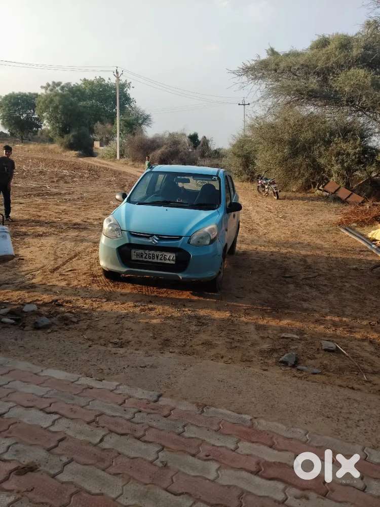 Alto 800 Car