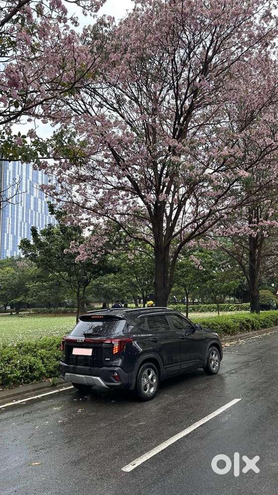 Kia Seltos 2024 Petrol Well Maintained