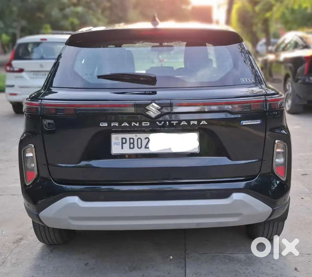 Maruti Suzuki Grand Vitara 2023 Petrol 49000 Km Driven