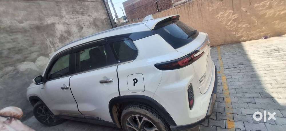 Automatic Full Hybrid Hyryder G