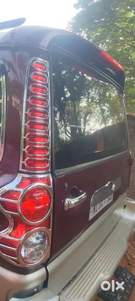 Scorpio Royal Maroon