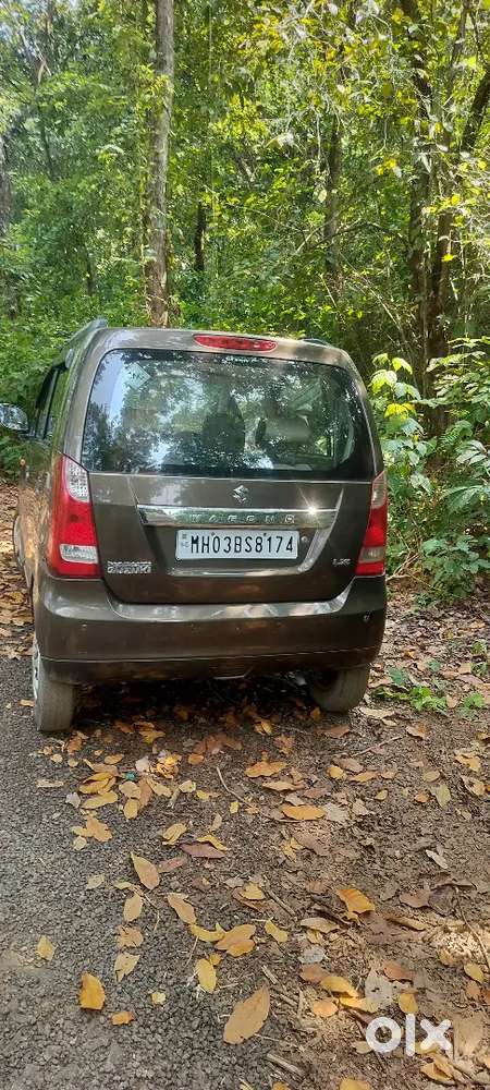 Maruti Suzuki Wagon R 2014 Lxi Cng