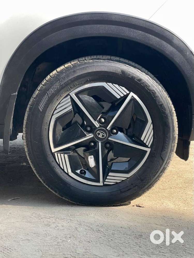 Tata Nexon Fearless Pr S 1.2 Revotron Petrol 6 Mt Dt, 2024, Petrol