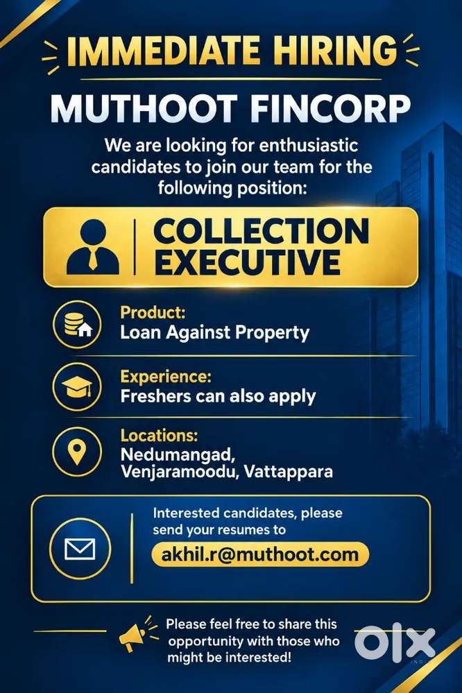 Collection Executive
