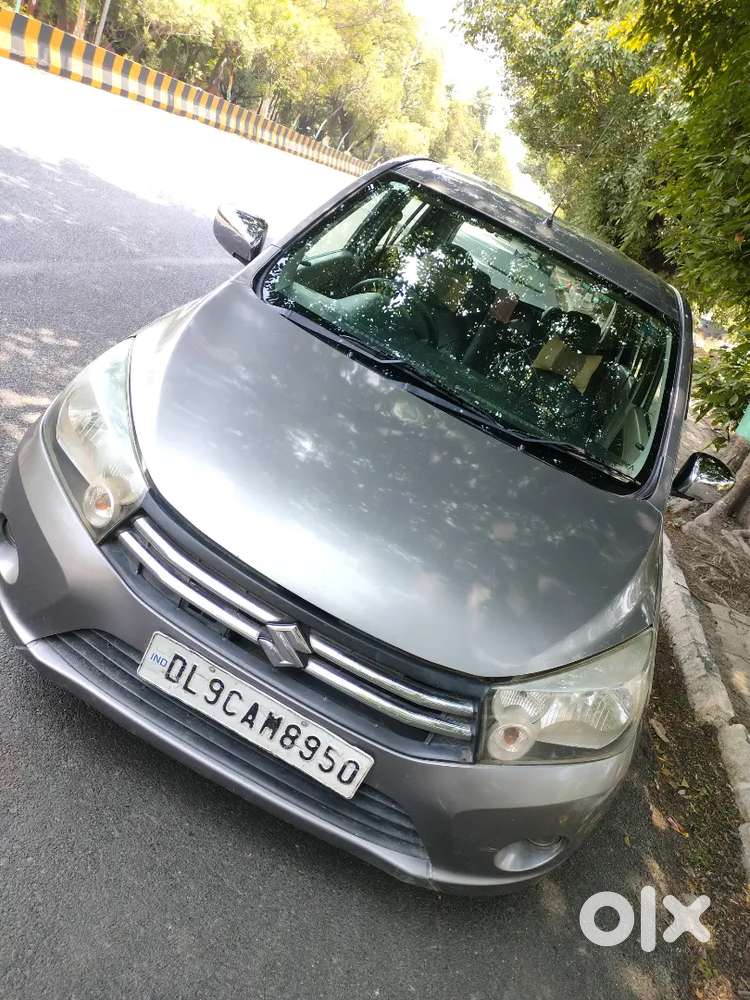 Celerio Ist Owner Company Green Cng