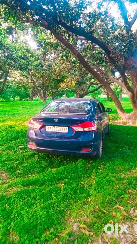 Maruti Suzuki Ciaz Delta 2017