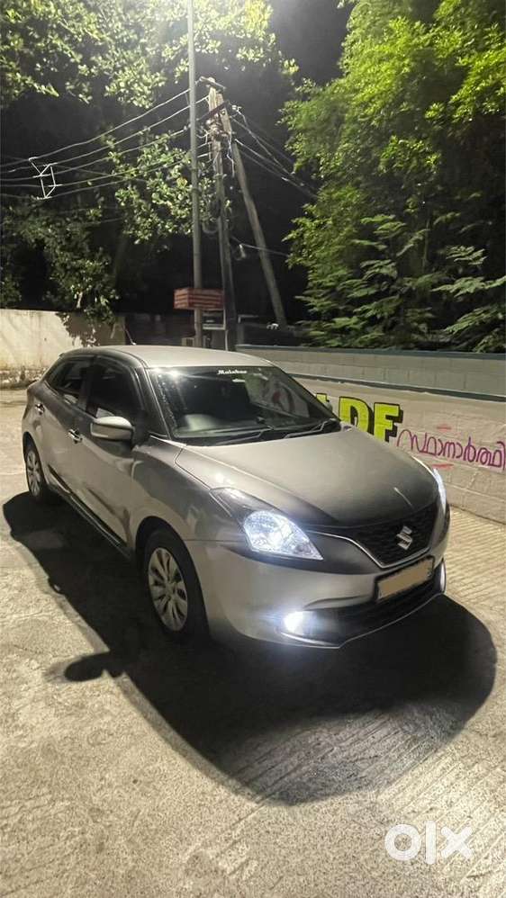 Excellent Body Condition