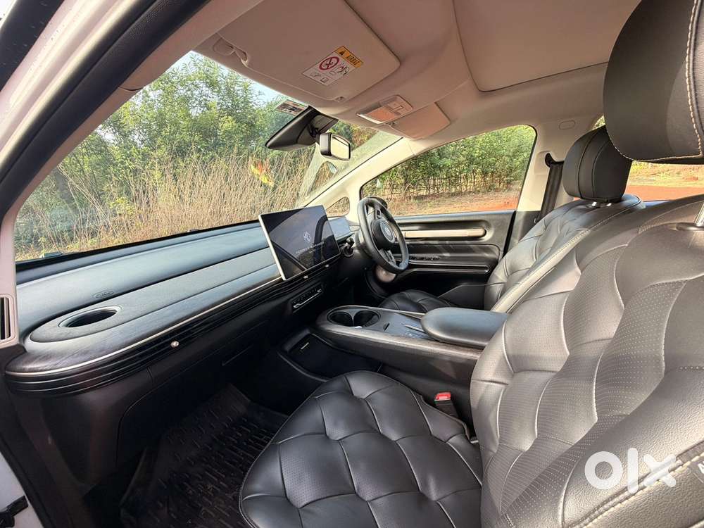 Mg Windsor Ev 2025