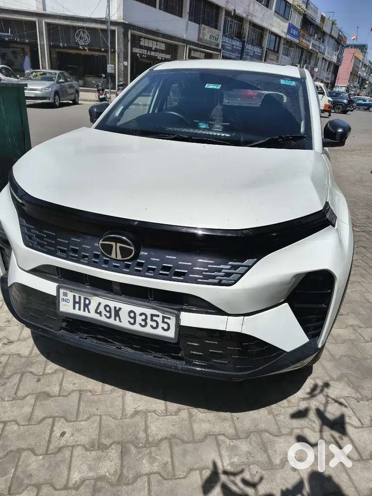 Tata Curvv 2024 Petrol 4000 Km Driven