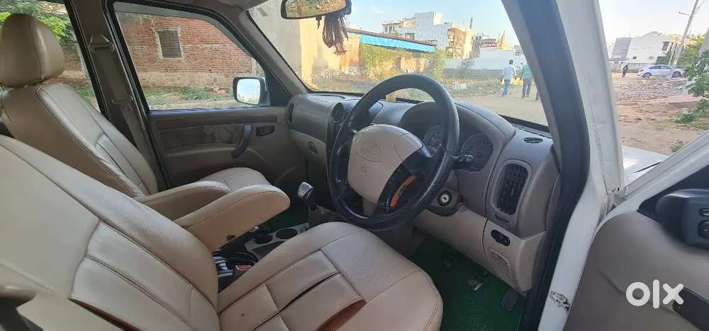 Scokripo 2014 Sale