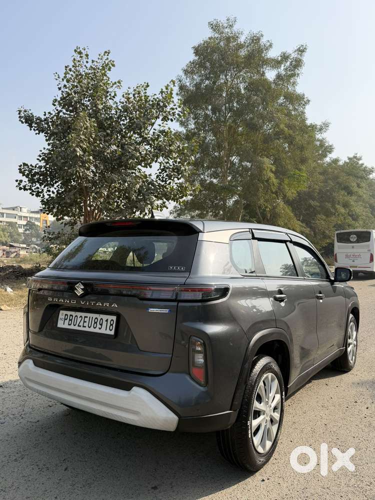 Maruti Suzuki Grand Vitara 1.5 Delta Smart Hybrid, 2024, Petrol
