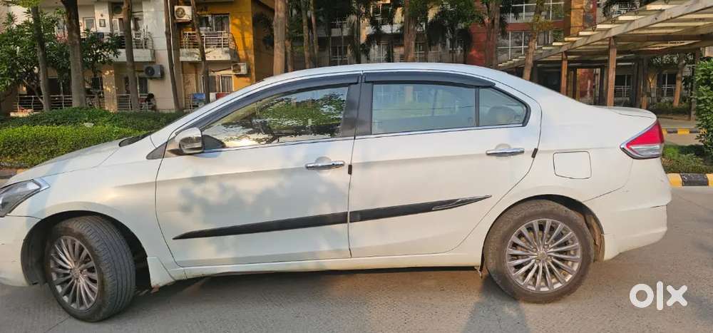 Maruti Suzuki Ciaz Alpha [ Top Model ] Available For Sale