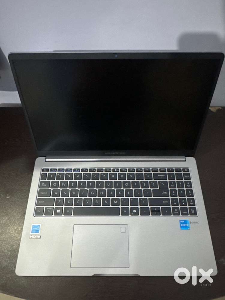 ASUS ExpertBook P1 Intel Core i5 13th Gen Laptop