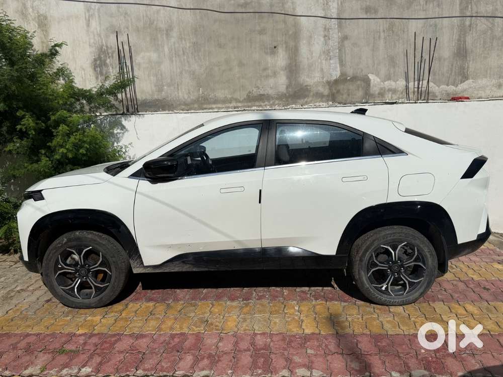 Tata Curvv 2024 Petrol Well Maintained