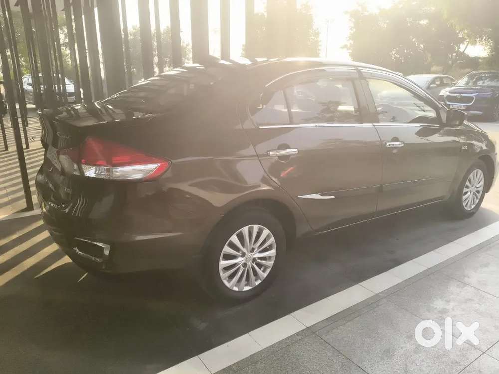 Maruti Suzuki Ciaz | Diesel | First Owner | 2016 |