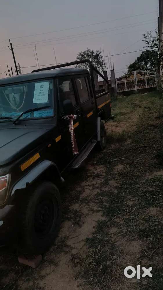 Bolero Caimpar Gold