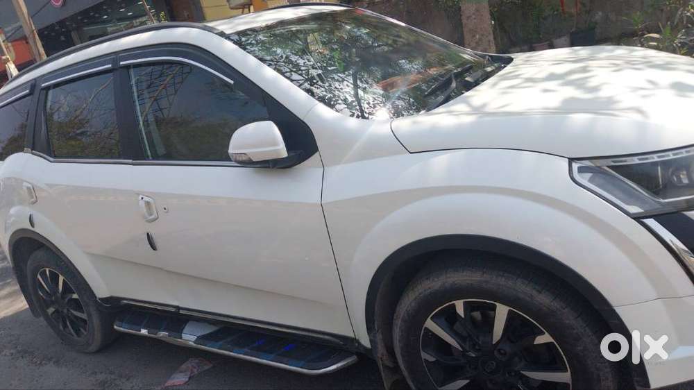 Suv Lovers Attention