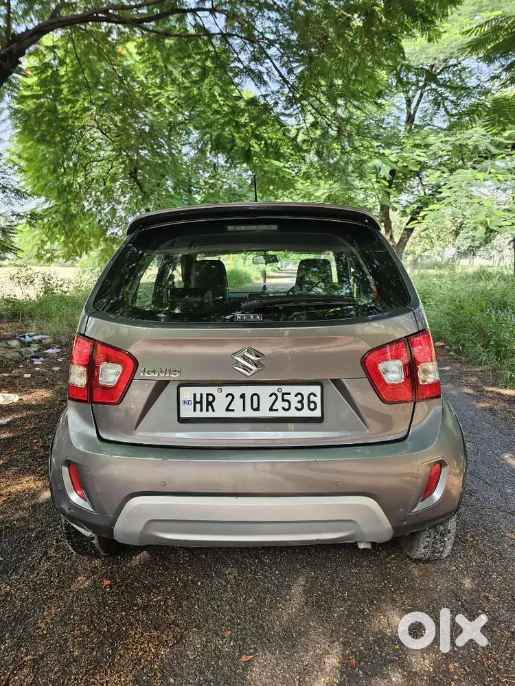 Maruti Suzuki Ignis 2023 Petrol