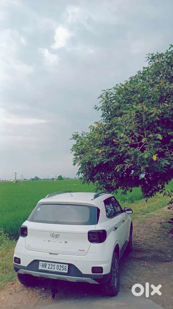 Hyundai Venue 2021 Petrol 45000 Km Driven