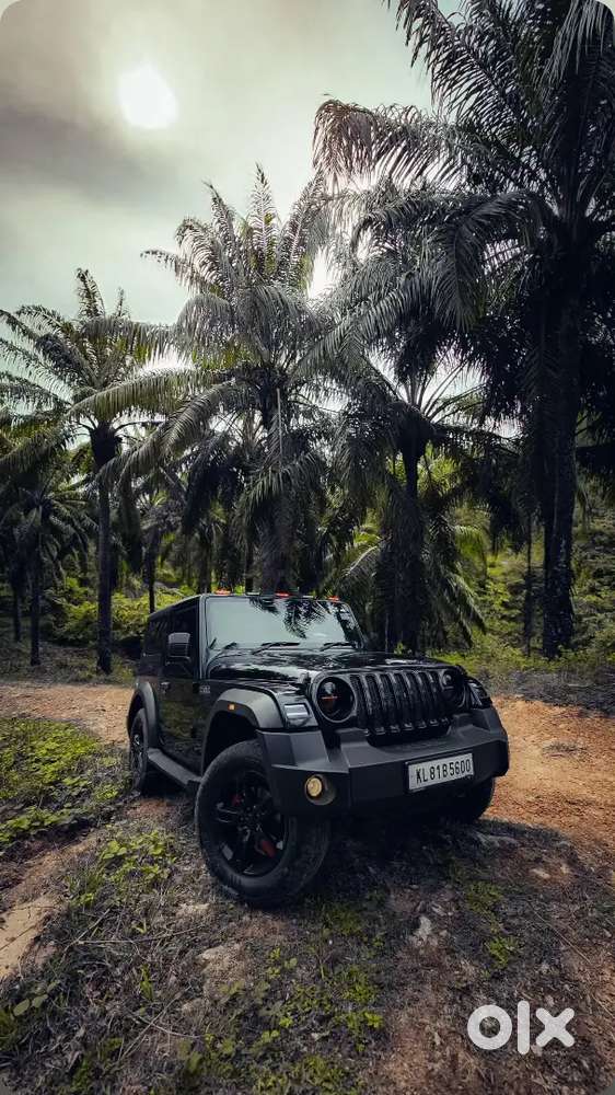 Mahindra Thar.e 2024 Petrol Well Maintainedj
