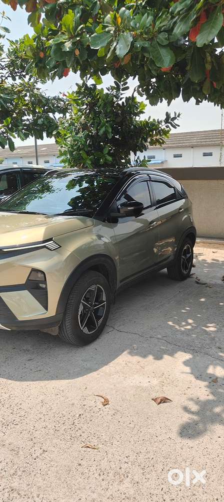 Tata Nexon Creative +ps Petrol +cng