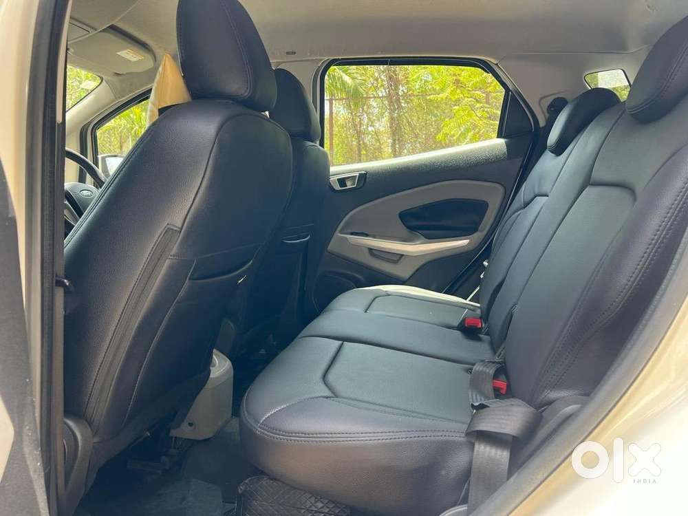 Ford Ecosport 2017 Petrol Well Maintained