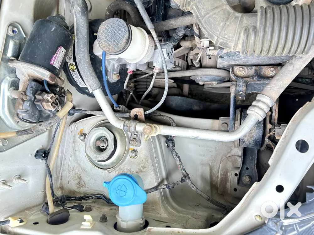 Maruti Suzuki Alto 800 2013
