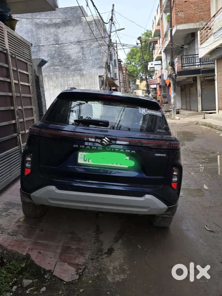Maruti Suzuki Alpha 2022