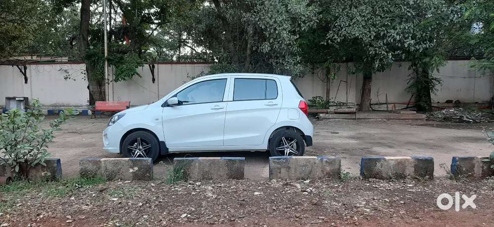 Maruti Suzuki Celerio 2019 Cng & Petrol 50000 Km Driven