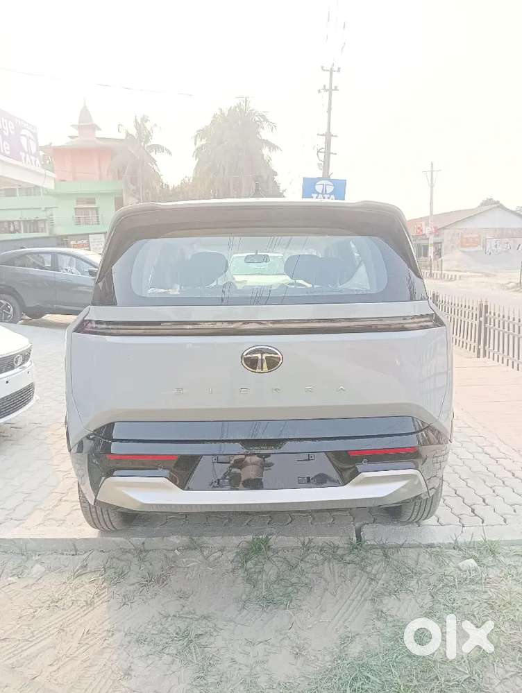 The New Seltose