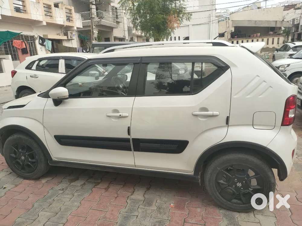 2023 Maruti Suzuki Ignis
