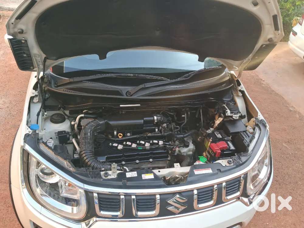 Maruti Suzuki Ignis 2024 Automatic