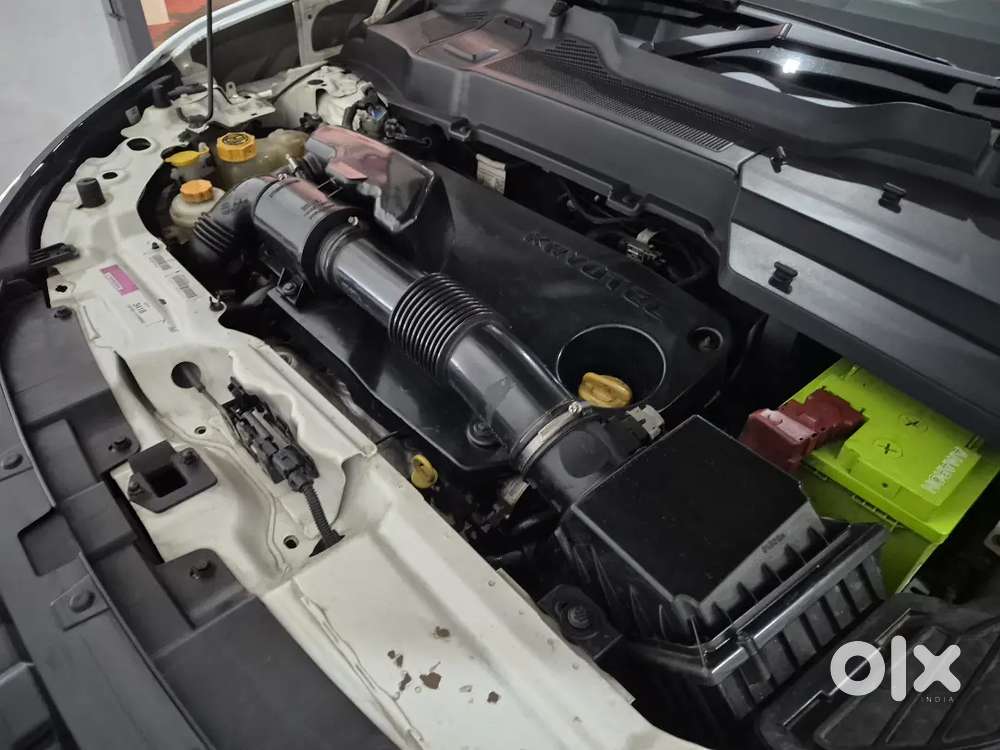 Doctor's  Harrier 2020