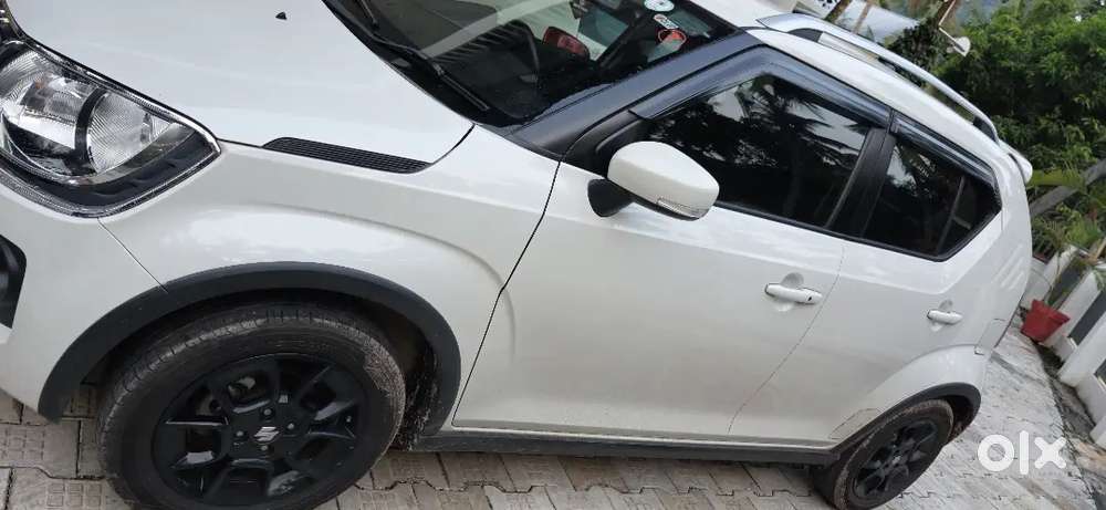 2022 December Maruti Suzuki Ignis
